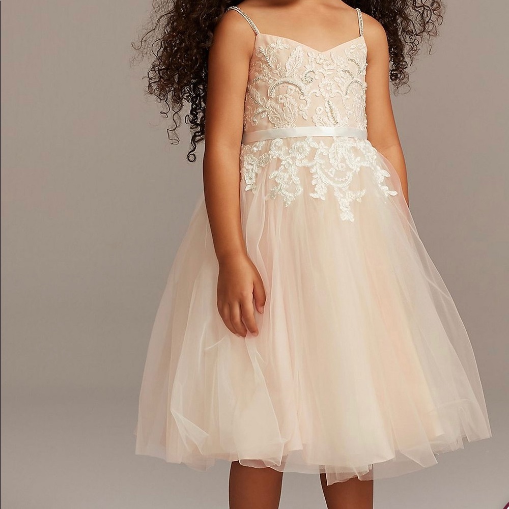 David’s Bridal Flowergirl Dress size 3 WG1406